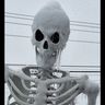 Butterflyskelly