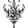 Author's Avatar
