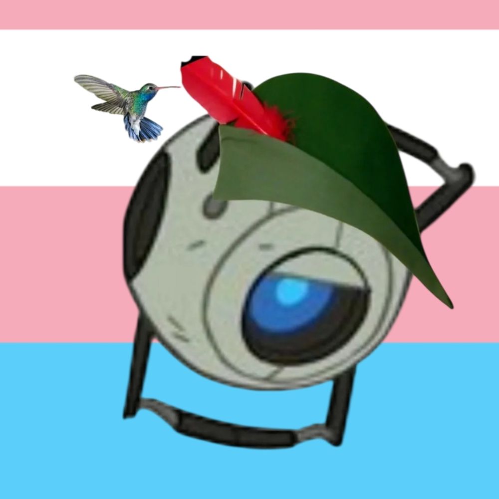 Author's Avatar