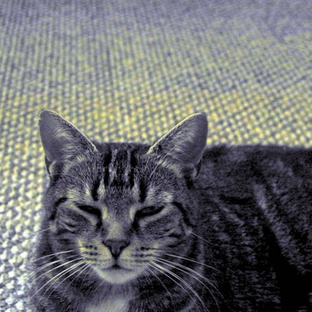 CrohnsCat
