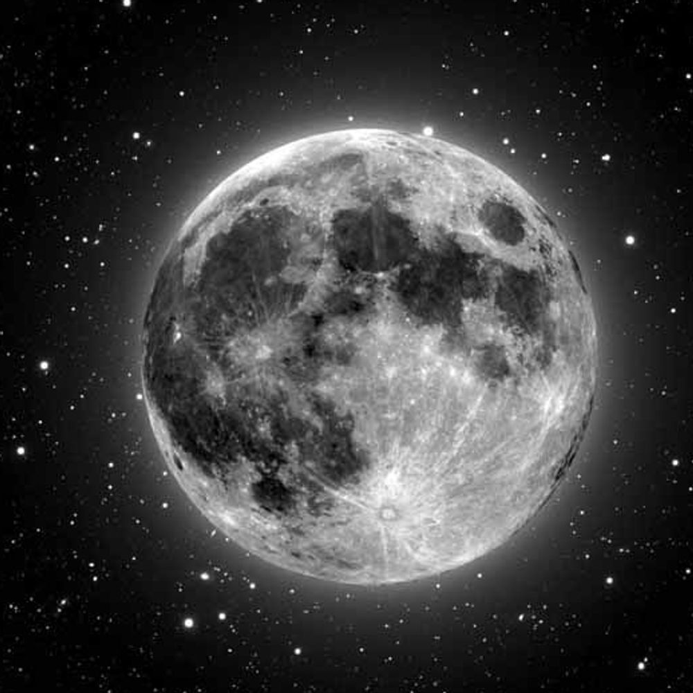Moon Base Botany