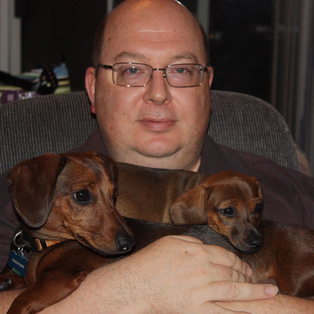 Author's Avatar