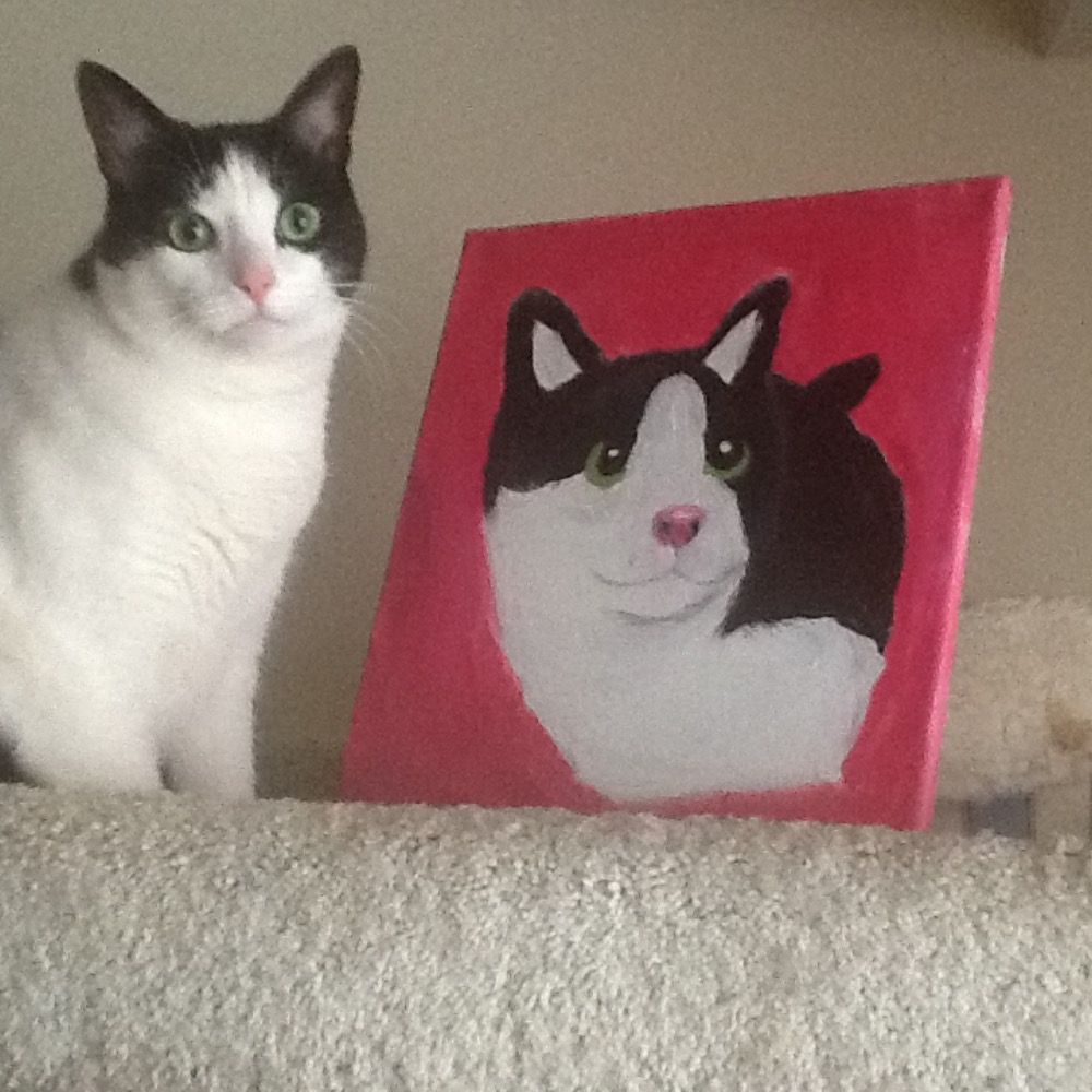 DigitalMeowMix