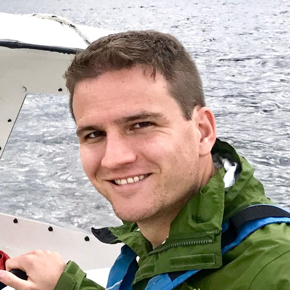 Author's Avatar