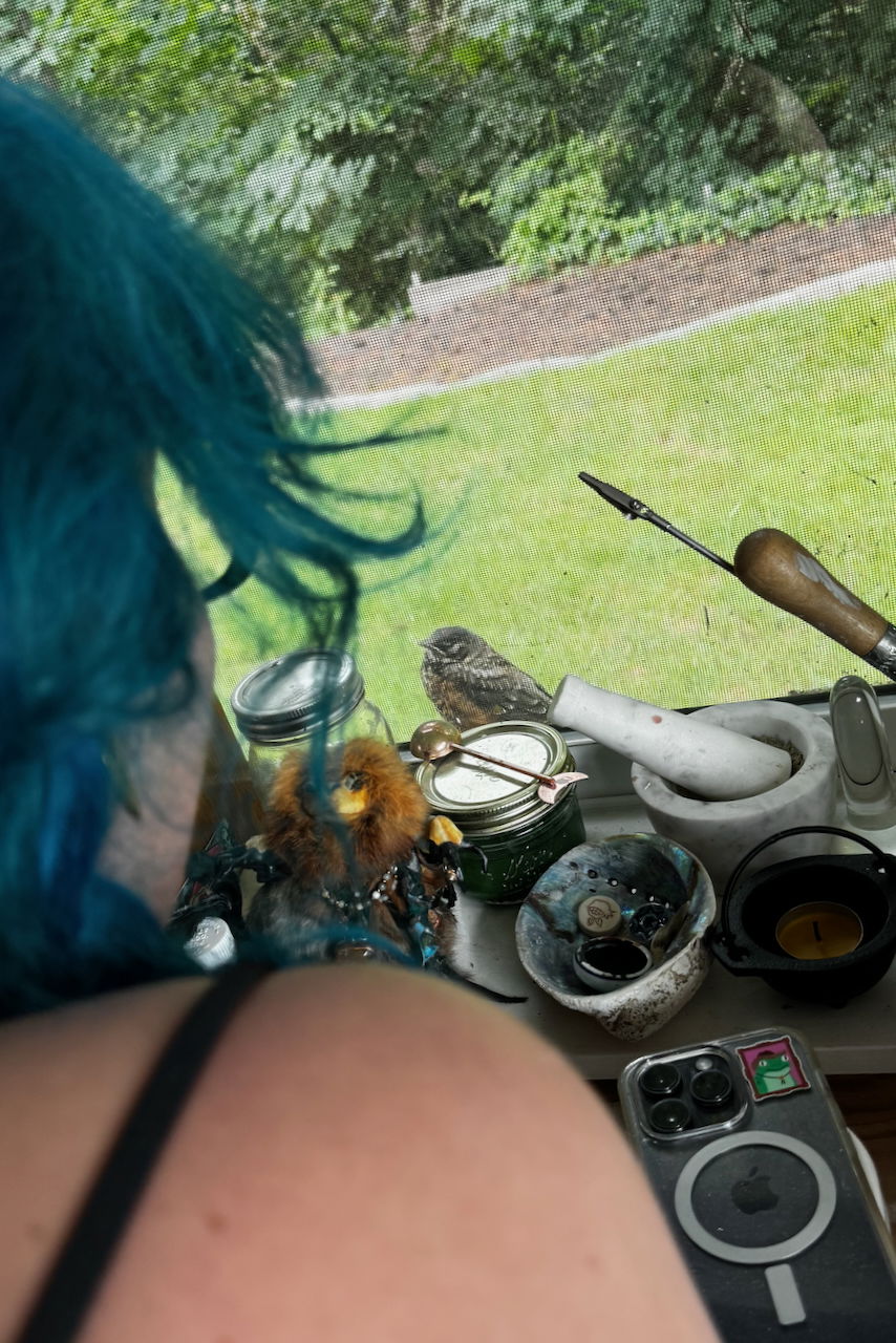 A person with blue hair looks out a window at a small bird perched outside, surrounded by various items like jars, a mortar and pestle, and a phone on the windowsill.