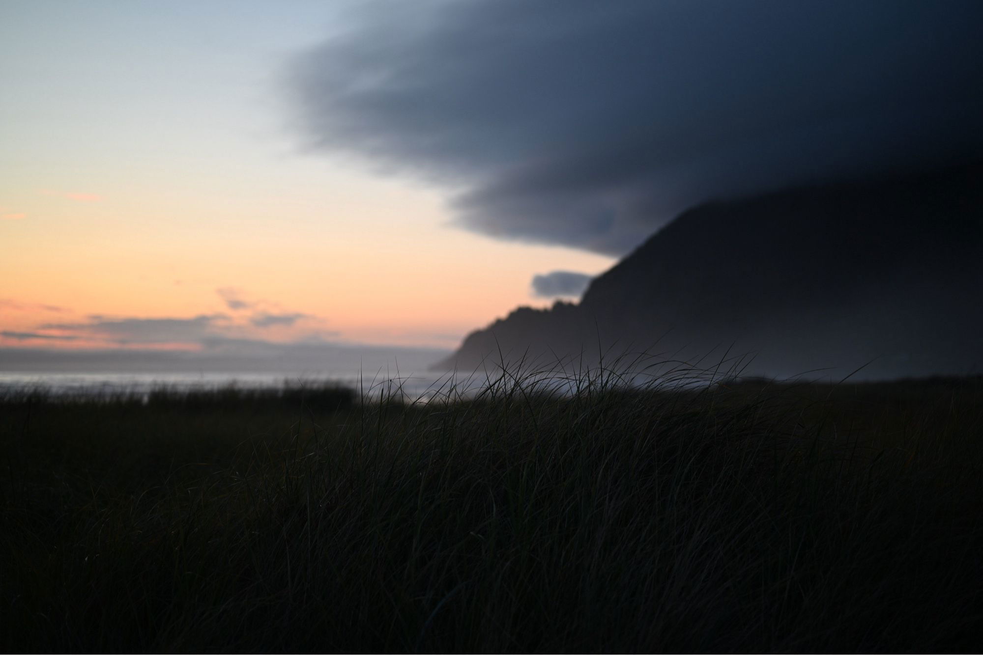 Coastal scene at dusk with tall grass in the foreground and a dark mountain silhouette against a pastel sky.