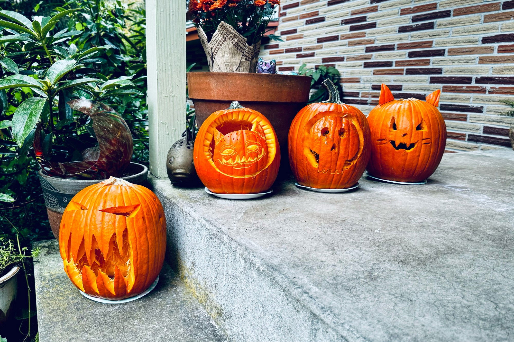 Four carved pumpkins displayed on a concrete porch with greenery, potted plants, and a brick wall in the background. The second pumpkin from the left is especially ornate. 