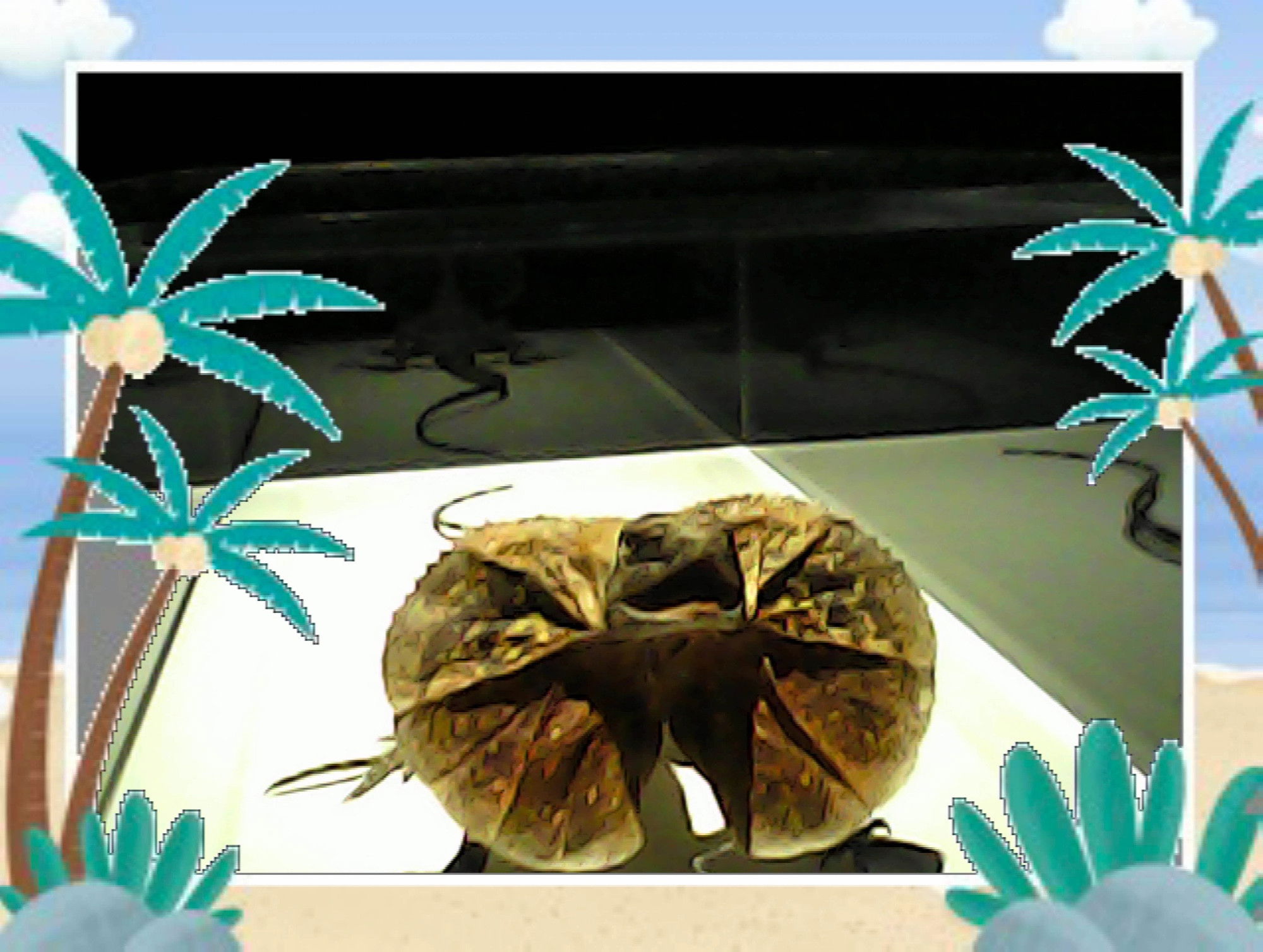 A frilled neck lizard displaying its distinctive neck frill fully extended, photographed against a light background and framed by pixelated turquoise palm trees in a beach-themed border.