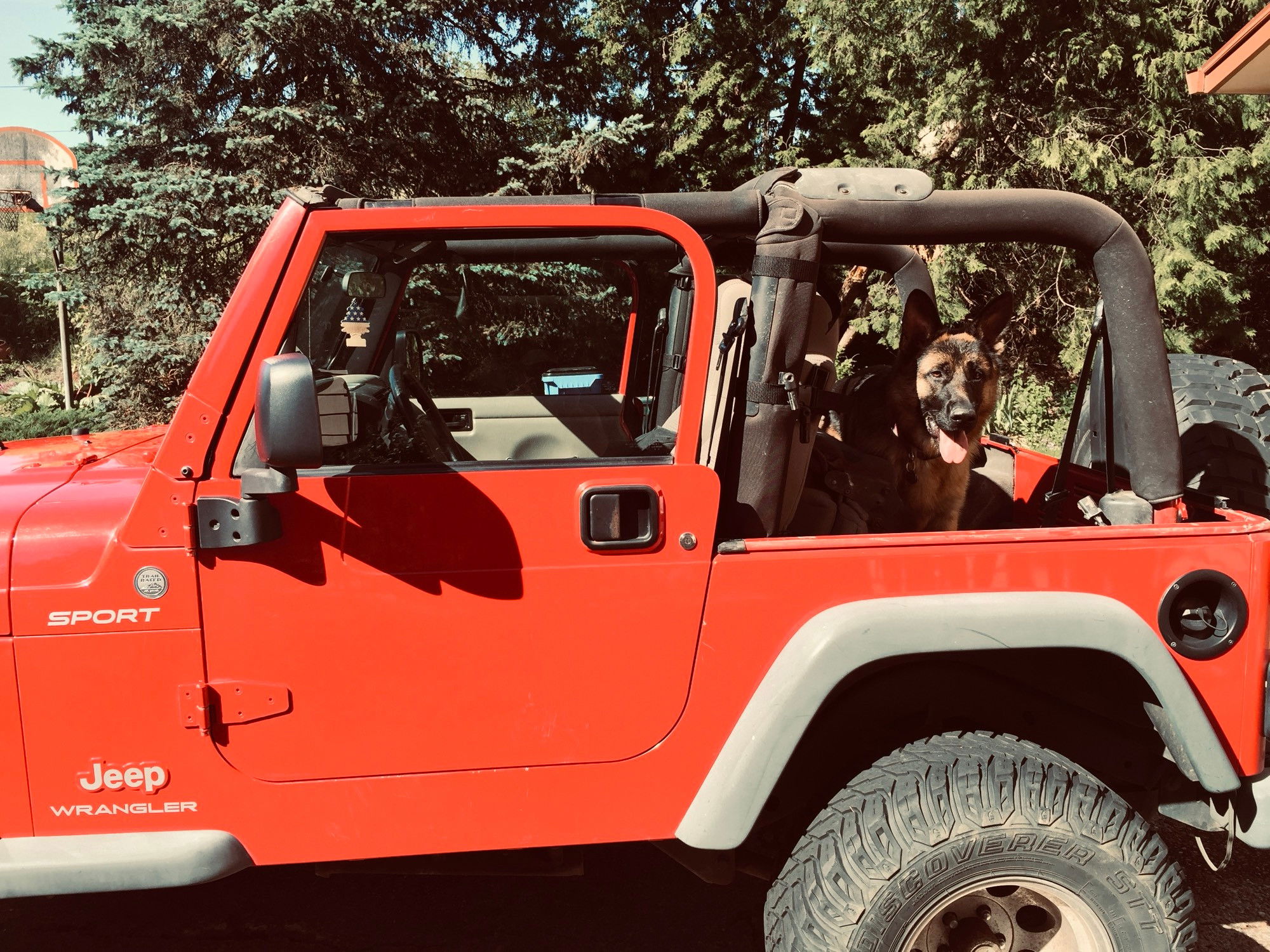 A red Jeep Wrangler Sport with its hard too removed, parked against a backdrop of evergreen trees. A German Shepherd sits alertly in the passenger seat with its tongue out, photographed in bright daylight showing the vehicle's rugged off-road tires and white fender flares.