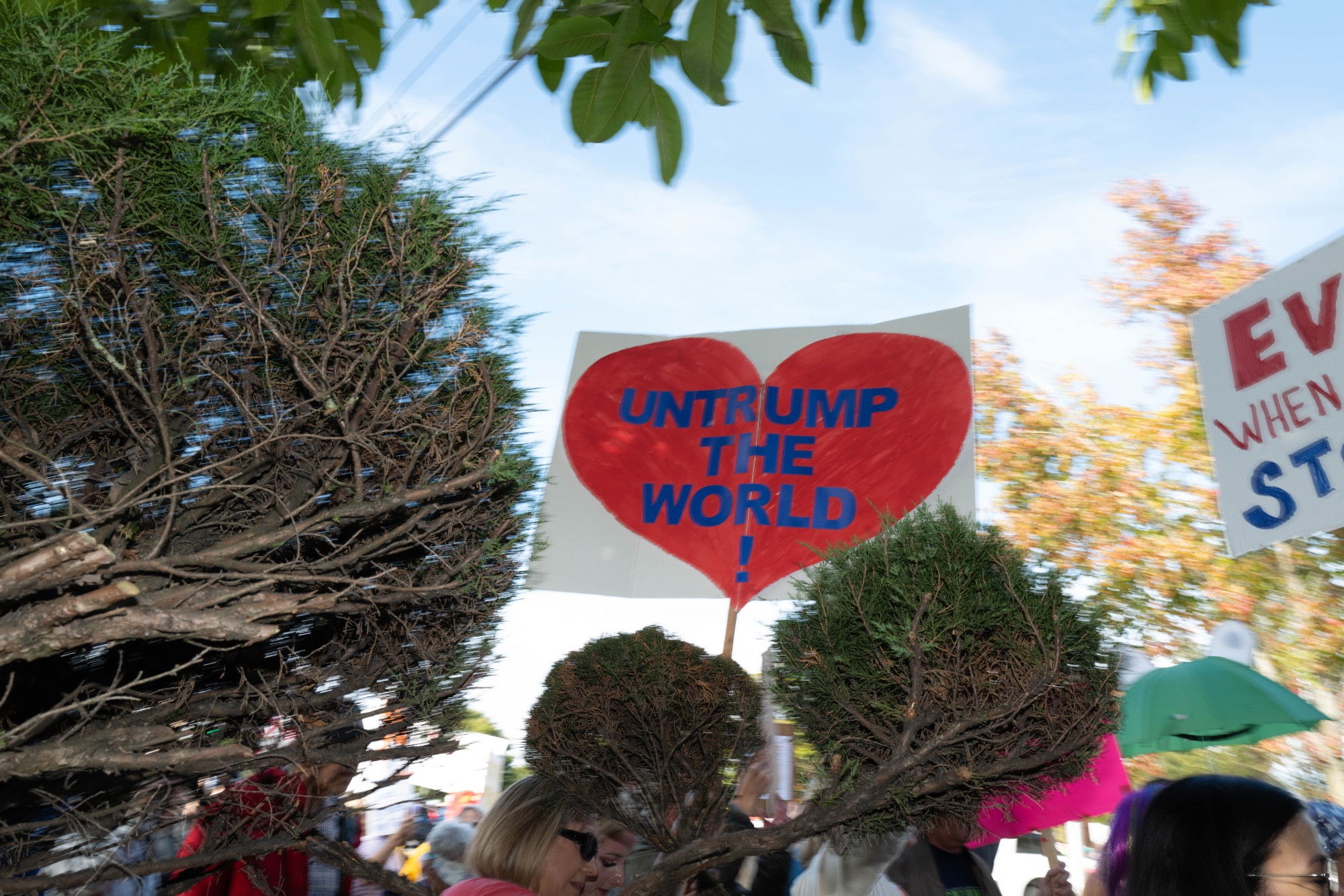 A motion blur flash photo of a tree with protesters in the background, and a sign that reads “UNTRUMP THE WORLD”