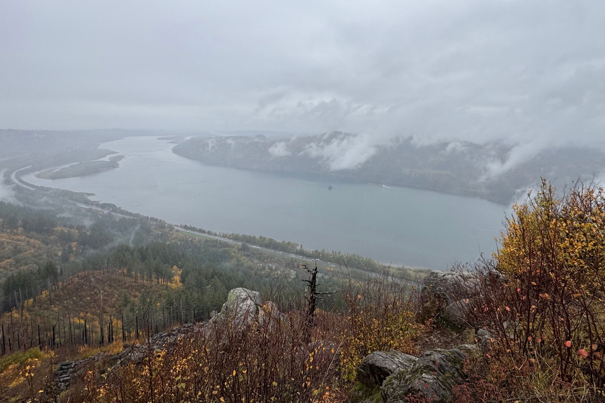 An expansive view of the Columbia River Gorge from Angel’s Rest