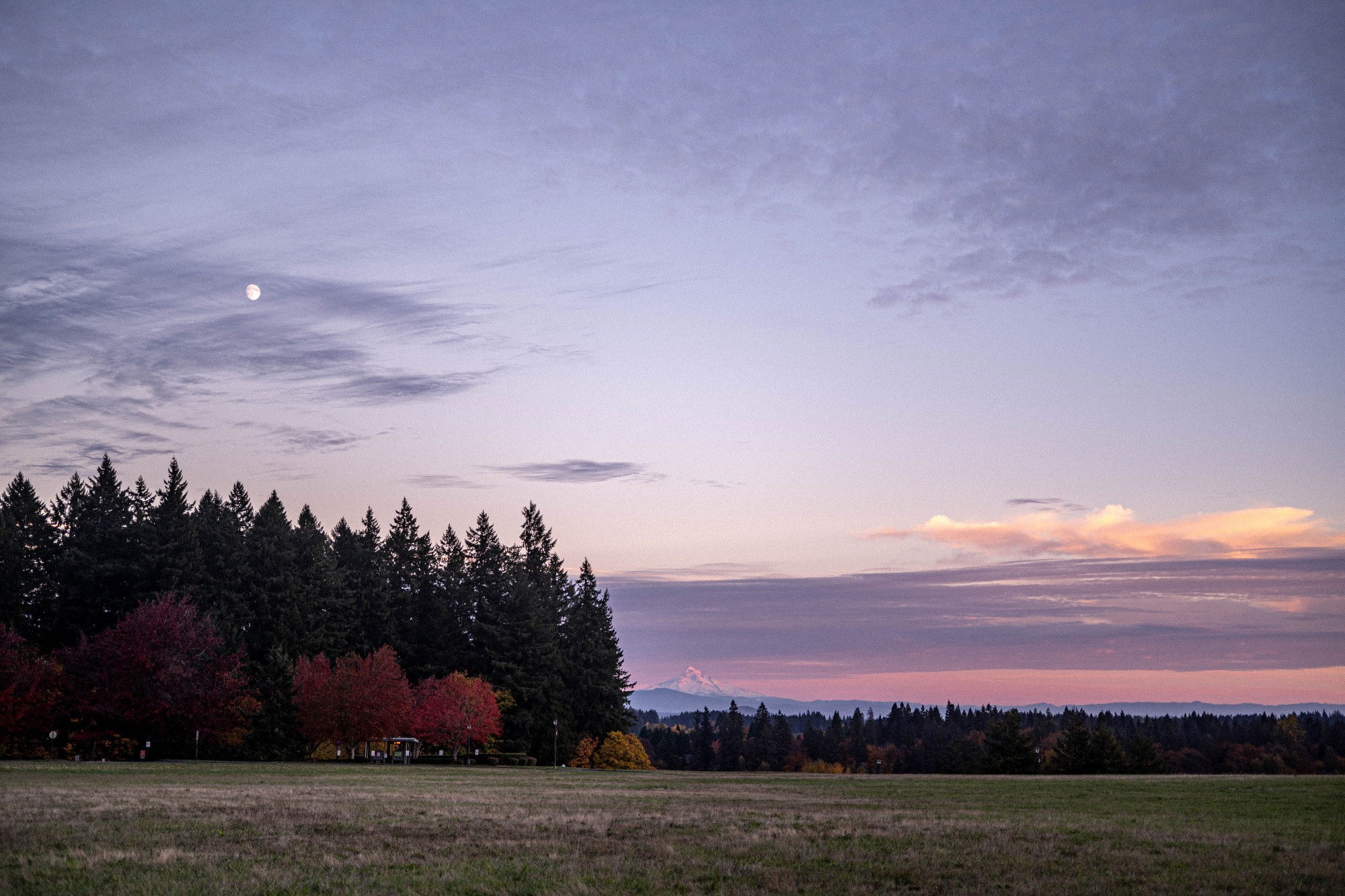 An open field at twilight with the moon overhead; evergreens and autumn trees frame a distant snow-capped mountain under purple and pink sky.