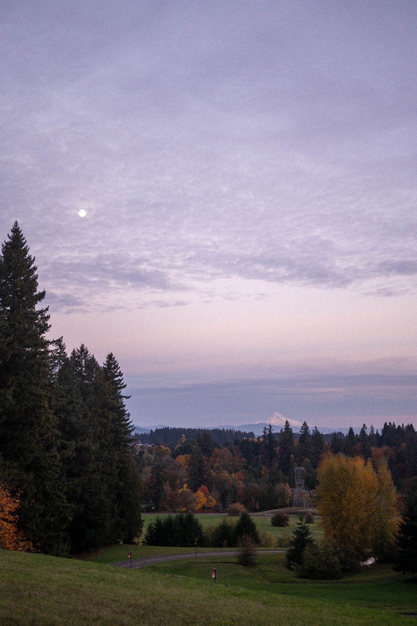 A twilight view across a park with fall foliage and evergreen trees; the moon is visible in the distance under a purple sky over a snow-capped mountain peak.