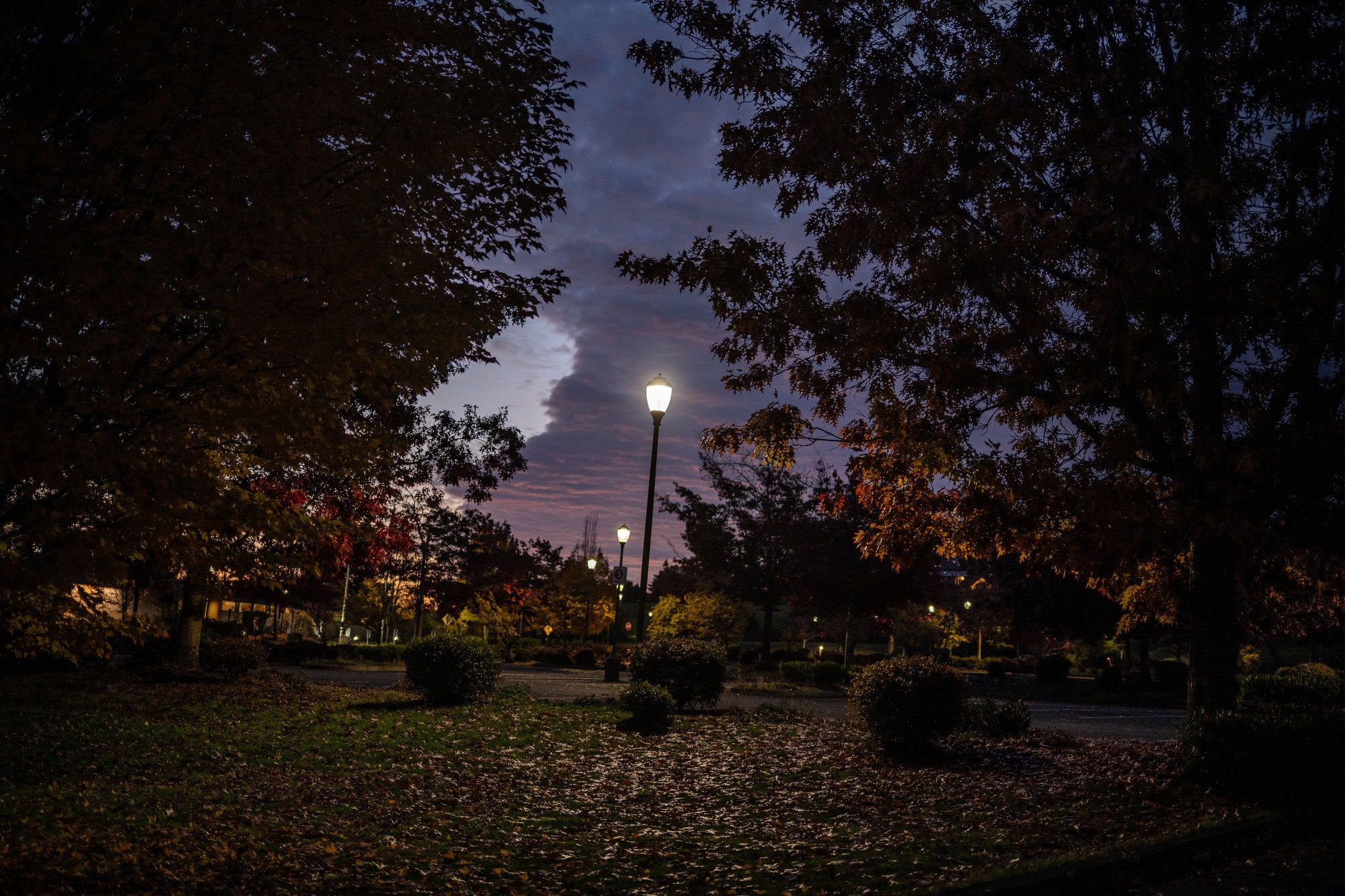 Twilight campus scene with illuminated lampposts along pathways, autumn trees framing a dramatic cloudy sky, leaves covering the ground.