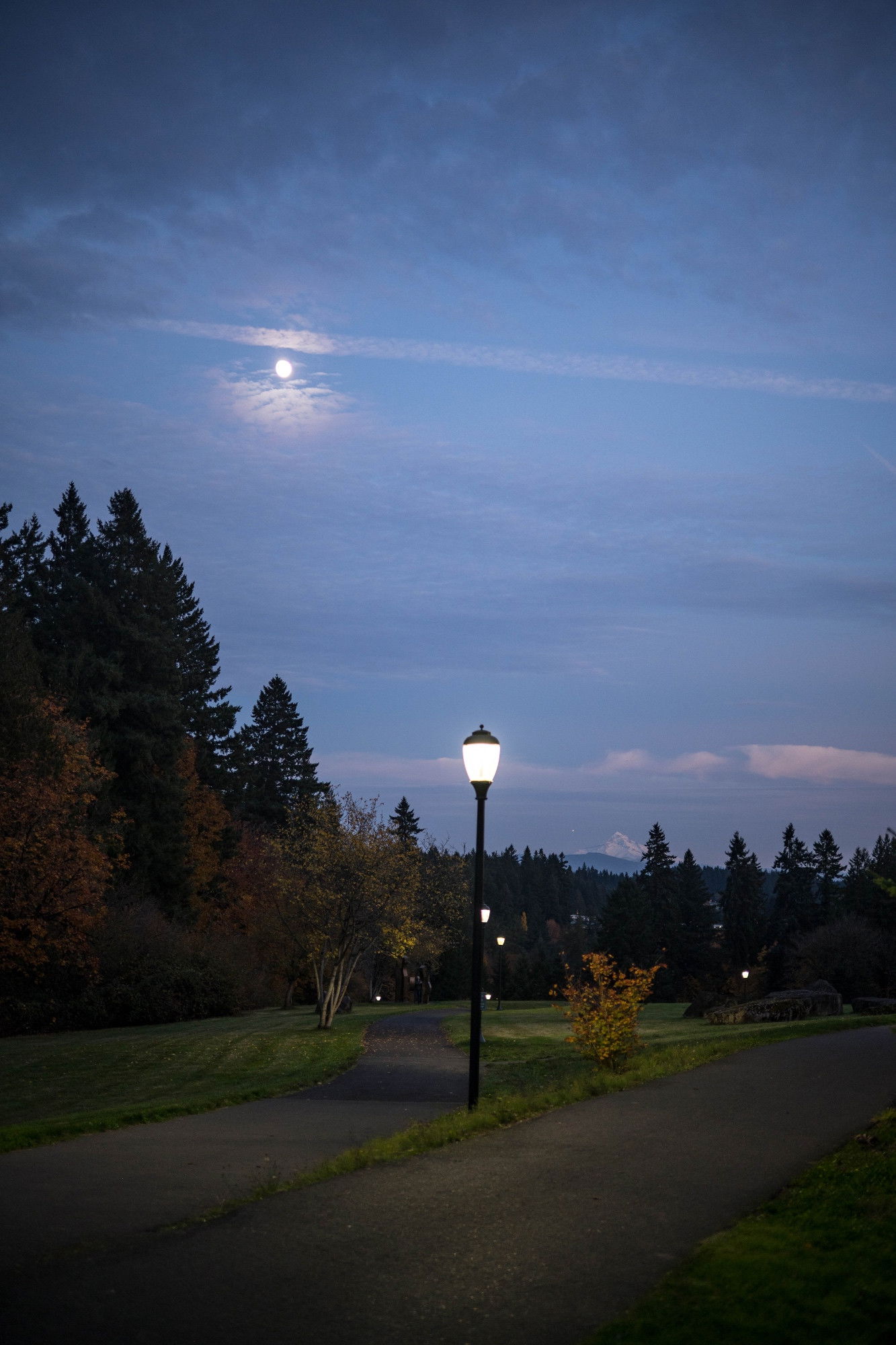 Full moon breaking through clouds above campus paths, illuminated lamppost, evergreen trees, and distant mountain silhouette at twilight.