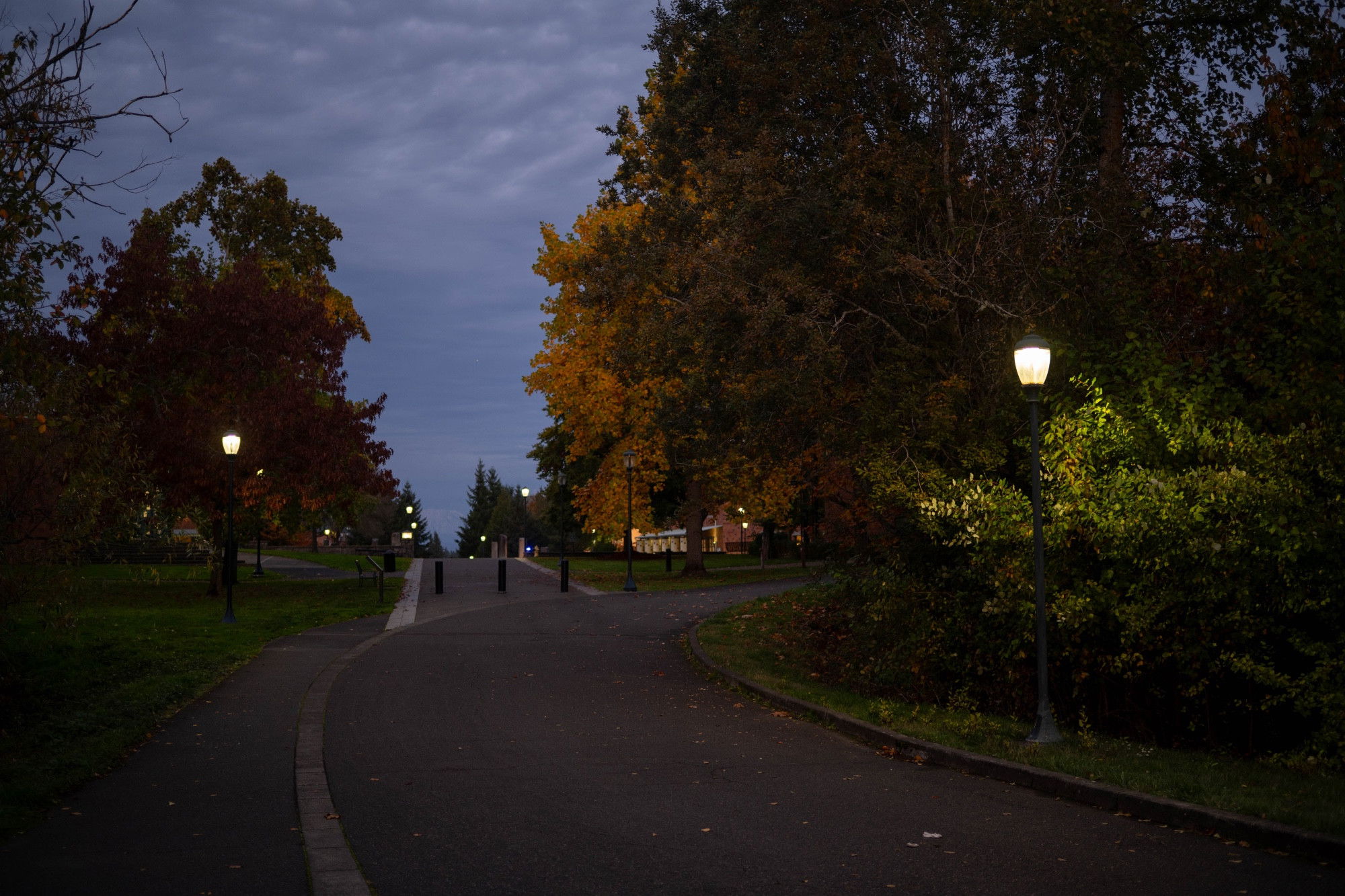 Curved campus pathway at dusk with lit lampposts and autumn trees against a cloudy evening sky.