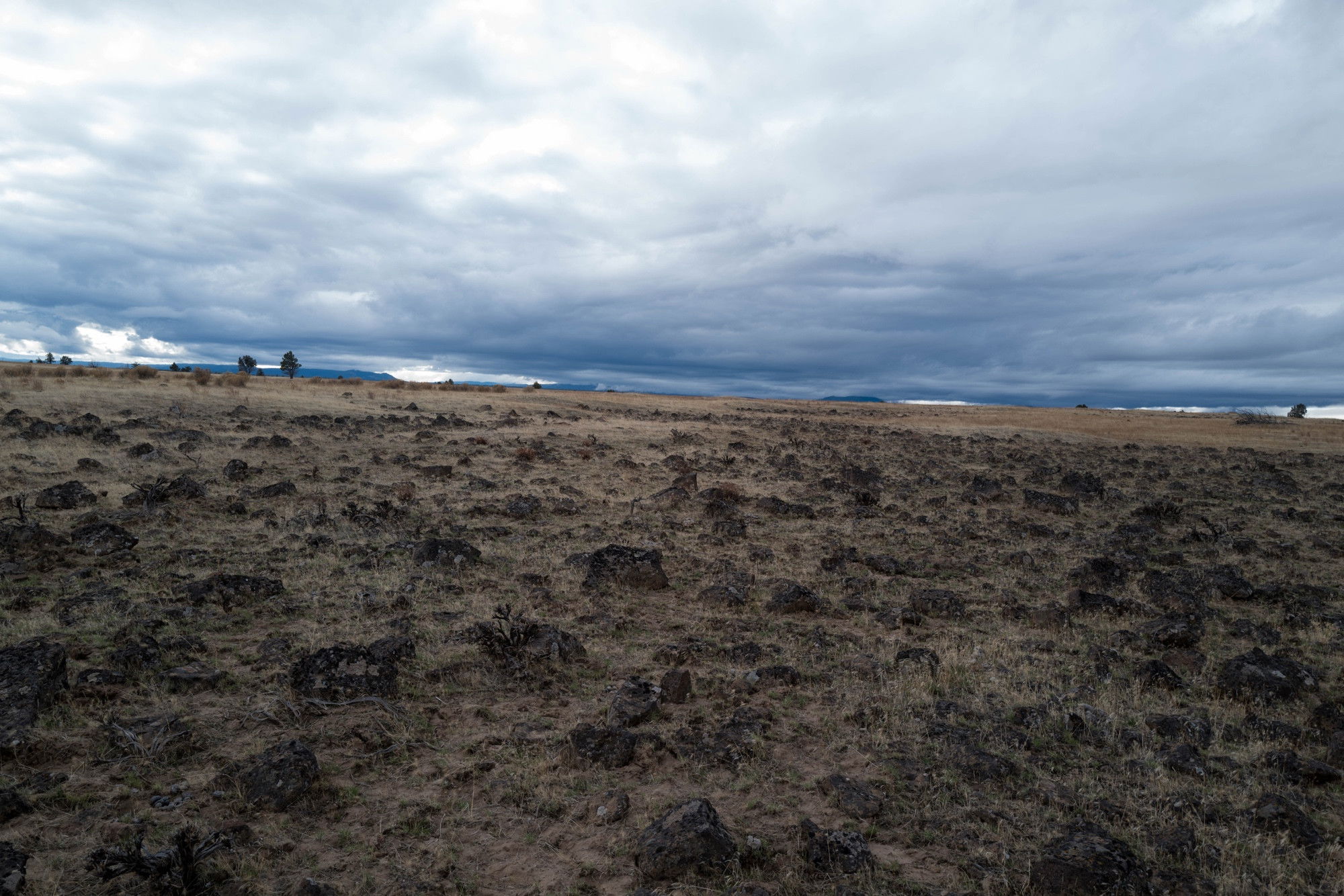 Rocky field with scattered dark boulders covering dry brown grassland, overcast sky with mountains on distant horizon.